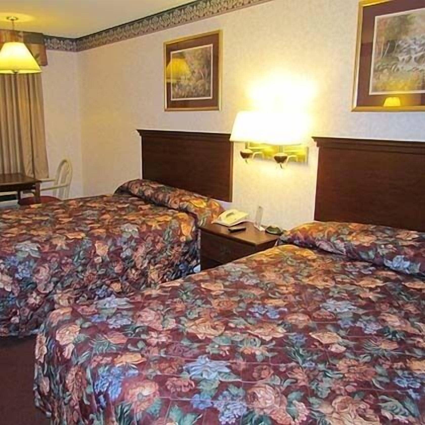Eagle Inn Sumter Oda fotoğraf